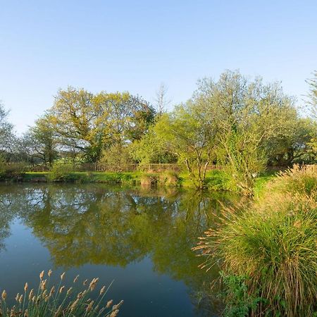 Our Goldfinch 1- Sleeps 2 Persons- Private Hot Tub-Pet Friendly-Tranquil Holiday Away From It All Yet Not Far From St Austell- The Holiday Home Has One Bedroom, Living And Dining Area, Equipped Kitchen-Decking-Outdoor Furniture-Fishing Lakes And More Grampound Bagian luar foto