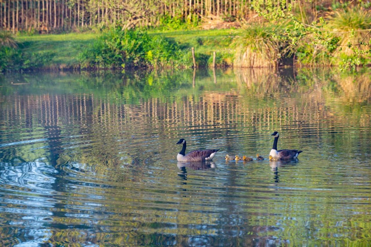 Our Goldfinch 1- Sleeps 2 Persons- Private Hot Tub-Pet Friendly-Tranquil Holiday Away From It All Yet Not Far From St Austell- The Holiday Home Has One Bedroom, Living And Dining Area, Equipped Kitchen-Decking-Outdoor Furniture-Fishing Lakes And More Grampound Bagian luar foto