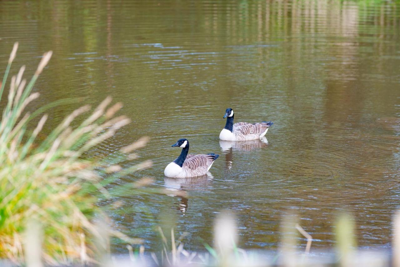 Our Goldfinch 1- Sleeps 2 Persons- Private Hot Tub-Pet Friendly-Tranquil Holiday Away From It All Yet Not Far From St Austell- The Holiday Home Has One Bedroom, Living And Dining Area, Equipped Kitchen-Decking-Outdoor Furniture-Fishing Lakes And More Grampound Bagian luar foto